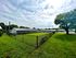 Charming community space with lush green lawn, shaded sitting area, and fenced boundaries, perfect for relaxation and outdoor enjoyment.