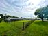 Spacious green yard with fenced area, mature trees, and charming residential buildings under a bright sky.