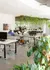 Bright, open-concept office space with modern workstations, lush greenery, and elegant decor providing a vibrant and inspiring work environment.