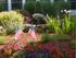 Charming garden oasis featuring vibrant flowers, elegant stone waterfall, and American flags, creating a serene outdoor escape.