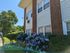 Charming apartment exterior with red brick and white siding, lush greenery, and vibrant blue hydrangeas under a clear blue sky.