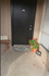 Inviting apartment entrance with a stylish black door, decorative mat, and vibrant potted red flowers.