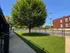 Inviting courtyard with lush green lawn and a large, vibrant tree, offering a serene outdoor space in a friendly neighborhood.