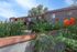 Charming apartment complex with vibrant landscaping, featuring colorful flowers and lush greenery against a bright blue sky.