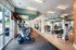 Modern fitness center with bright natural lighting, featuring state-of-the-art cardio machines, weightlifting equipment, and ample mirrors.