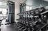 Modern fitness center with well-organized free weights, sleek exercise machines, and a bright, spacious atmosphere.