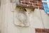 Elegant architectural detail featuring a globe engraving on a stone plaque, showcasing classic craftsmanship on a brick building facade.