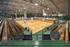 https://clarkscrossingapts.com/ - Indoor Basketball Court