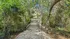 Charming nature walkway leading to a scenic apartment complex, surrounded by lush greenery and peaceful ambiance.