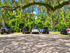 Charming outdoor parking area under lush green trees with elegant Spanish moss.