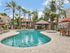 Relax by the Sparkling Pool Year-Round. | The Allison Condominiums | Scottsdale Apartments