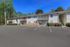 Bright apartment complex with private balconies and surrounded by lush trees, offering a peaceful living atmosphere.