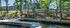Modern apartment complex nestled in lush greenery with a private dock on a serene waterfront.
