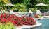 Luxurious poolside oasis with vibrant red flowers and elegant palm trees offering a serene retreat under sunlit umbrellas.