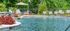 Luxurious outdoor pool area featuring sparkling water, vibrant red flowers, and comfortable lounge chairs, set against a lush green backdrop.