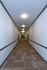 Bright and spacious apartment corridor with modern lighting and elegant carpeting.