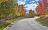 Scenic driveway lined with vibrant autumn trees, offering a serene and picturesque entrance.