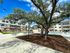 Charming apartment complex with inviting swimming pool, lush green spaces, and outdoor seating under mature trees.