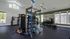 Bright and airy fitness center equipped with modern exercise machines and free weights, perfect for an energizing workout.