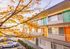 Charming apartment exterior with colorful doors, highlighted by vibrant autumn leaves and natural sunlight.