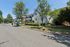 Charming suburban street lined with lush trees, showcasing spacious homes with well-maintained gardens under a clear blue sky.