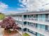 Charming apartment complex with modern blue facade and white balconies, enhanced by a vibrant tree, set against a bright sky.