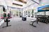 Bright and modern fitness room with large windows, featuring exercise equipment including a rowing machine, free weights, and a bench.