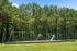 Inviting playground surrounded by lush pine trees, featuring swings and slides against a clear blue sky.