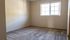 Bright, spacious bedroom with plush carpet and large window providing ample natural light.