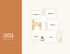 Lucca 3x1 floor plan showcasing a spacious 915 sq ft layout with two bedrooms, a primary room, dining area, and open living space.