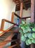 lobby stairs