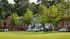 Grass field with trees, cars, and buildings in the distance.
