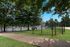 Dog Park