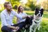 Pet friendly amenities