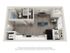 Sycamore