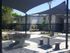Resident Enjoying Community Grounds | Sacramento State Apartments | University Village