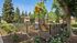 Charming apartment complex showcasing a vibrant children's playground surrounded by lush gardens and towering trees, creating a welcoming family-friendly atmosphere.