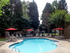 Sparkling pool, chair lounges & tables, Shade trees.