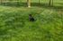 Community Bark Park | Apartments in Williamsville | Renaissance Place Apartments