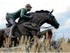 Steeplechase derby statue
