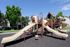 Playground with 4 slides and climbing structure
