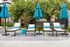Pool Loungers 1
