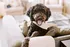 Pet-friendly apartments | LC Hilliard | Hilliard, Ohio Apartments for Rent