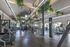 Spacious and modern gym with state-of-the-art exercise equipment and lush greenery accents.