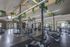Modern fitness center with high ceilings, skylights, and lush greenery, featuring state-of-the-art equipment and ample space for workouts.