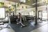 Bright and modern gym facility with state-of-the-art fitness equipment, mirrors, and lush greenery for an invigorating workout experience.
