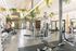 Modern gym with state-of-the-art equipment, vibrant greenery, and skylights creating a refreshing workout atmosphere.