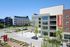 University Of Texas At Dallas Apartments | Northside
