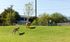 Community Bark Park | Apartments in Richardson | Northside