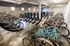 Interior Bike Storage